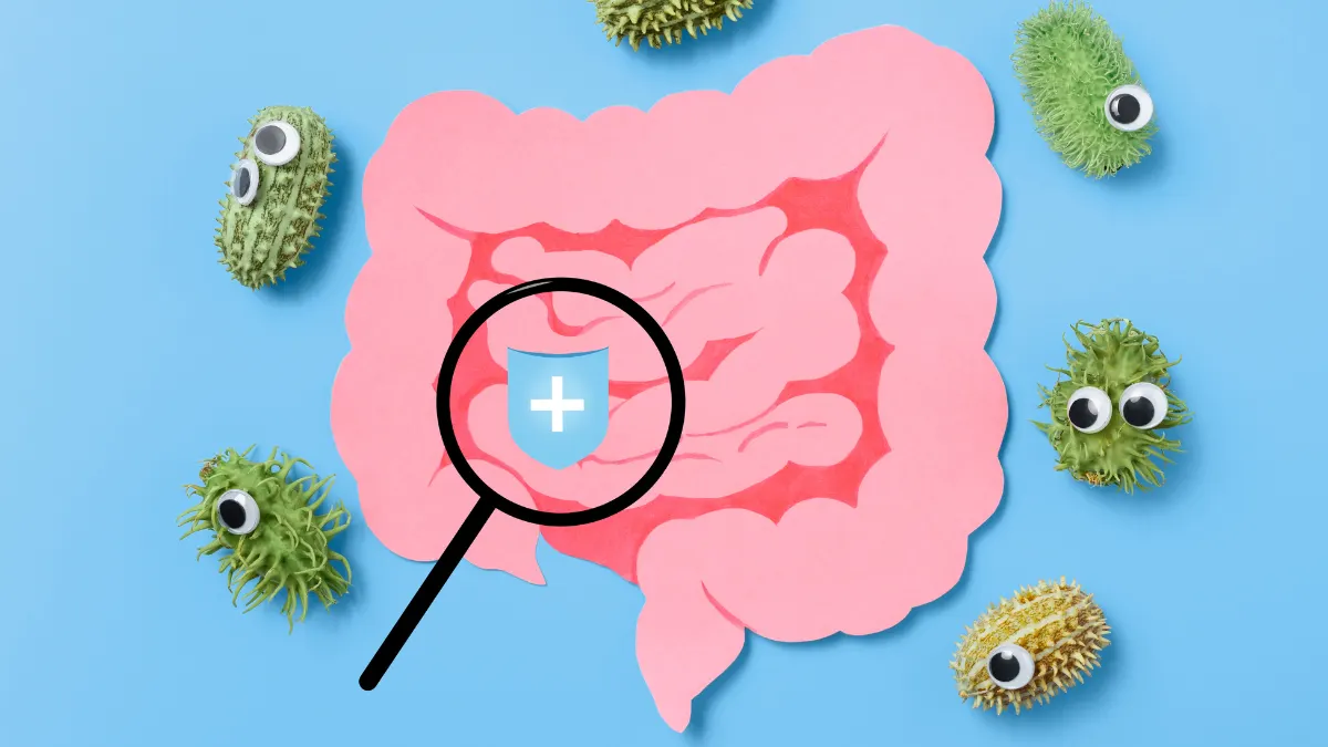 Equilibrio del microbiota intestinale